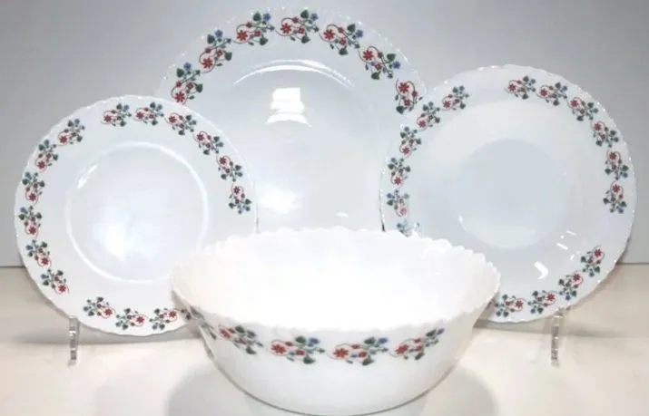 Introducing porcelain set dishes + the best purchase price