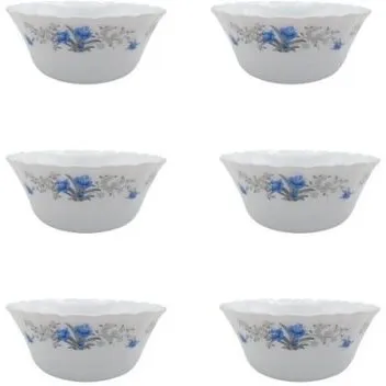 arcopal glass bowl buying guide + great price